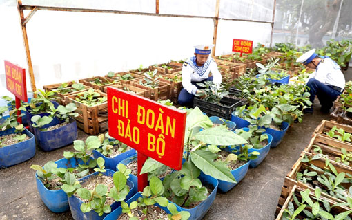 Vietnam: Les techniques agricoles innovantes ont apporté de la verdure aux îles Trường Sa (Spratly)