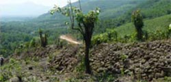 Quang Ngai au Vietnam, l'autre grande muraille d'Asie Quang Ngai au Vietnam, l'autre grande muraille d'Asie