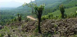 Quang Ngai au Vietnam, l'autre grande muraille d'Asie