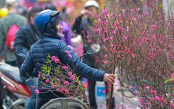 Vietnam : Les vacances du Nouvel An lunaire (fête du Tết) 2023 dureront sept jours Vietnam : Les vacances du Nouvel An lunaire (fête du Tết) 2023 dureront sept jours