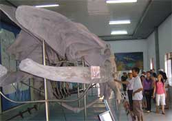 L'Institut océanographique de Nha Trang L'Institut océanographique de Nha Trang