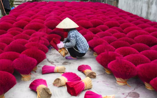Vietnam: le "village de l'encens" se pare de rose à l'approche du Nouvel an lunaire