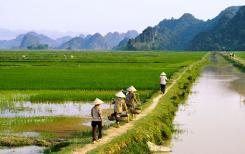 L’essentiel du Vietnam en 5 sites L’essentiel du Vietnam en 5 sites