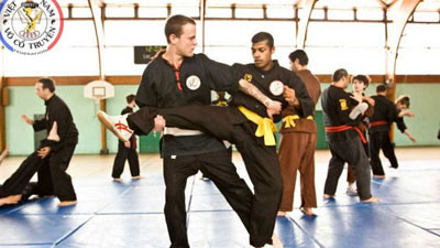 Vovinam, art made in Vietnam Vovinam, art made in Vietnam