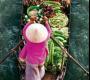 Voyage dans le Mekong Voyage dans le Mekong
