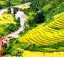 Lotus 3T Travel, votre agence de voyages spécialiste du Vietnam. Lotus 3T Travel, votre agence de voyages spécialiste du Vietnam.